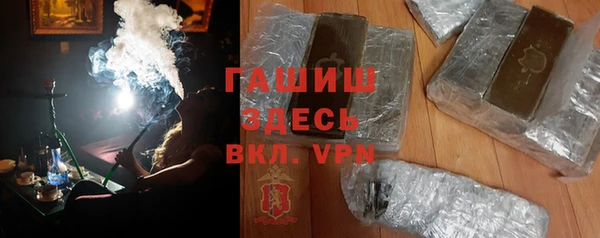 стаф Алзамай