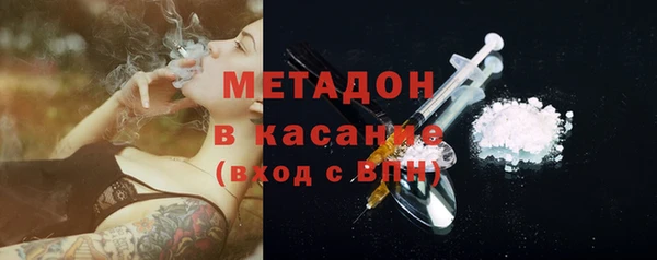 стаф Алзамай