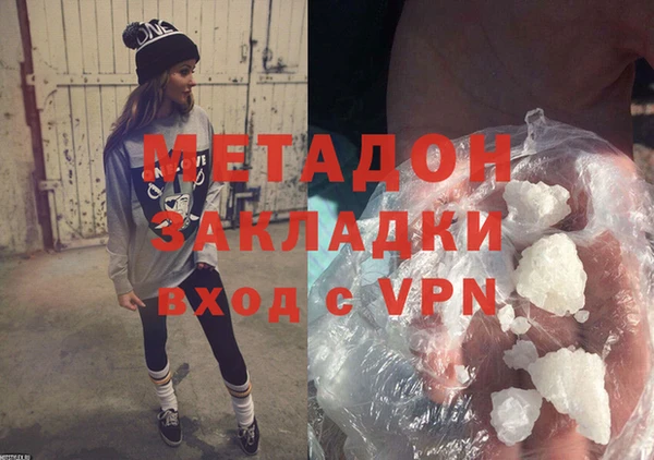 стаф Алзамай