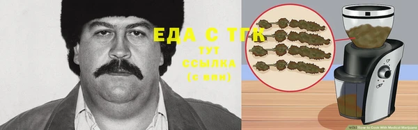 стаф Алзамай