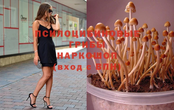 2c-b Алексин