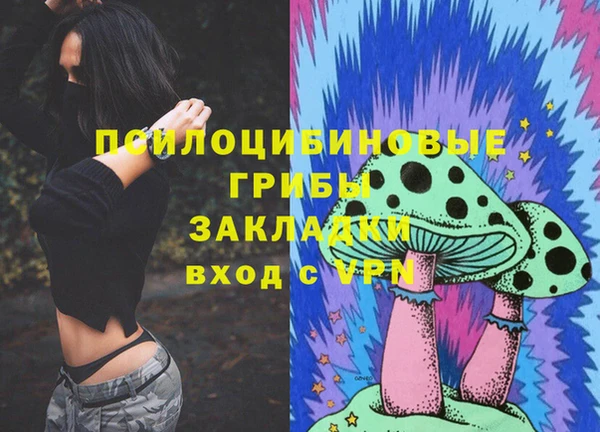 2c-b Алексин