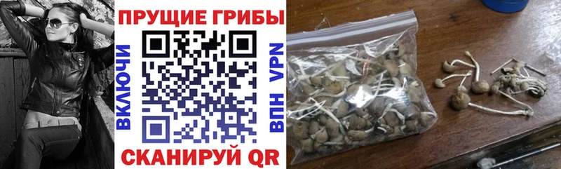 Галлюциногенные грибы мицелий  mega ТОР  Сухой Лог 